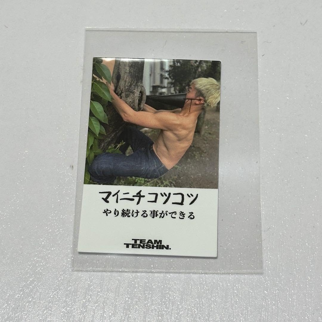 Amazon.co.jp: 那須川天心 ステッカー 2枚 : Toys & Games